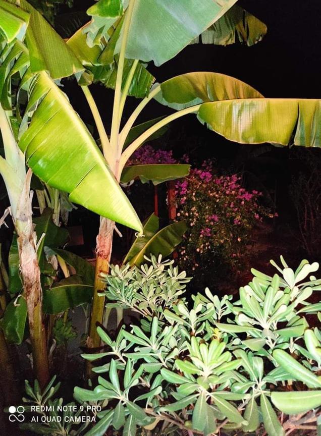 Aglaia House Villa Kouspades Bagian luar foto