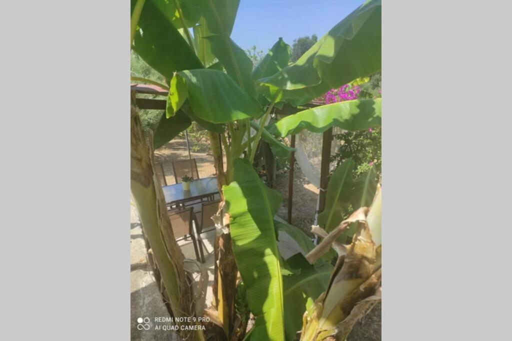 Aglaia House Villa Kouspades Bagian luar foto