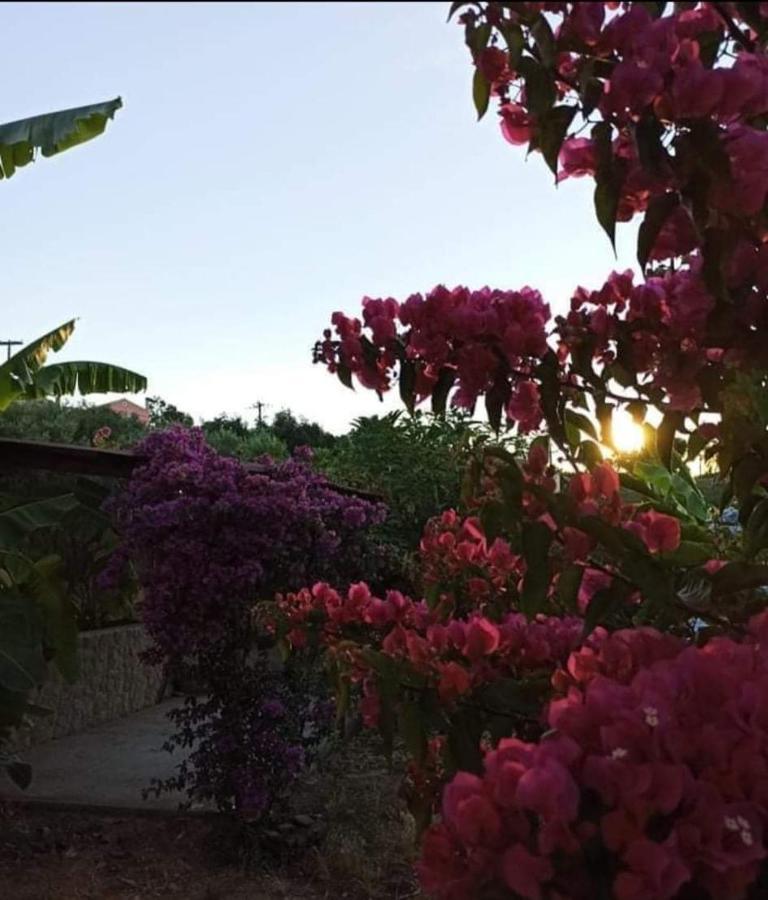 Aglaia House Villa Kouspades Bagian luar foto