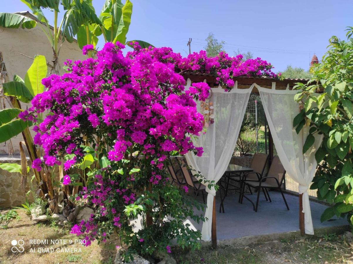 Aglaia House Villa Kouspades Bagian luar foto