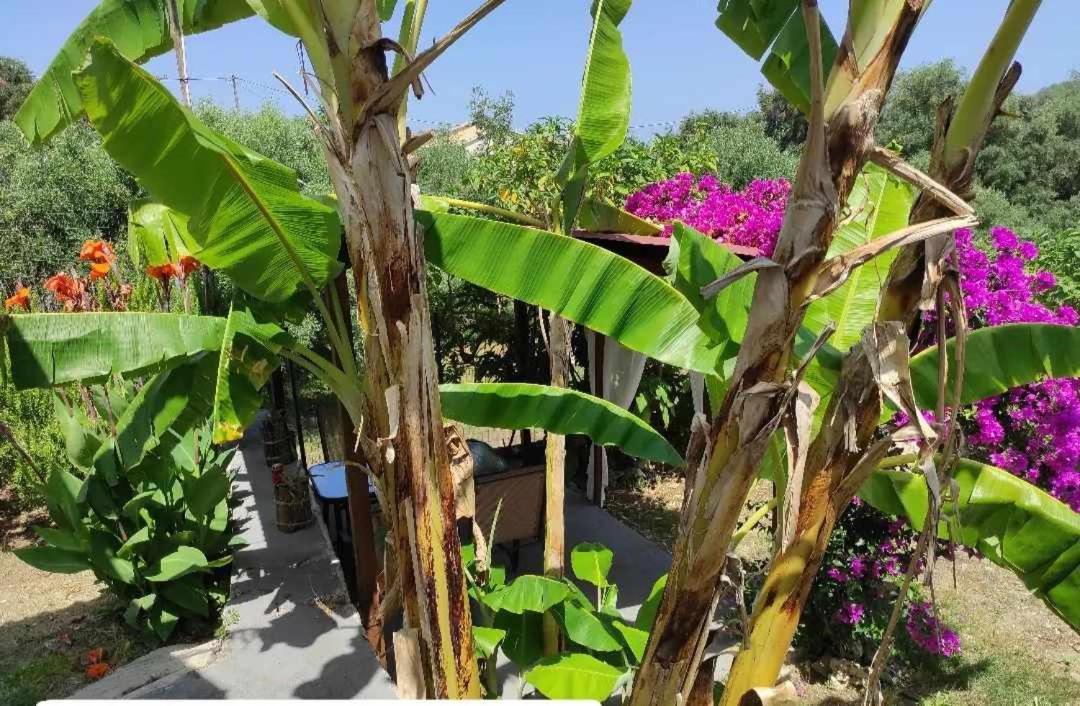 Aglaia House Villa Kouspades Bagian luar foto